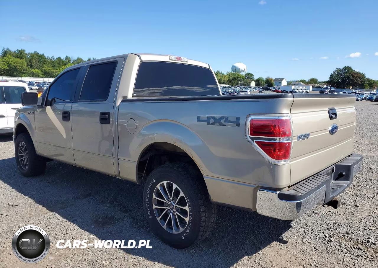 2010 Ford F150 Supercrew VIN:1FTEW1E82AFB34127 - 2