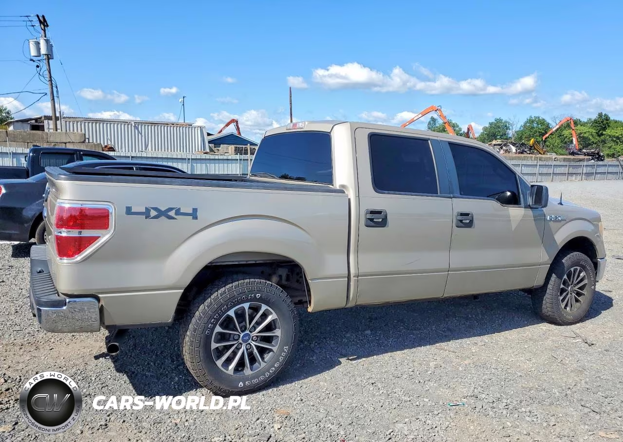 2010 Ford F150 Supercrew VIN:1FTEW1E82AFB34127 - 3