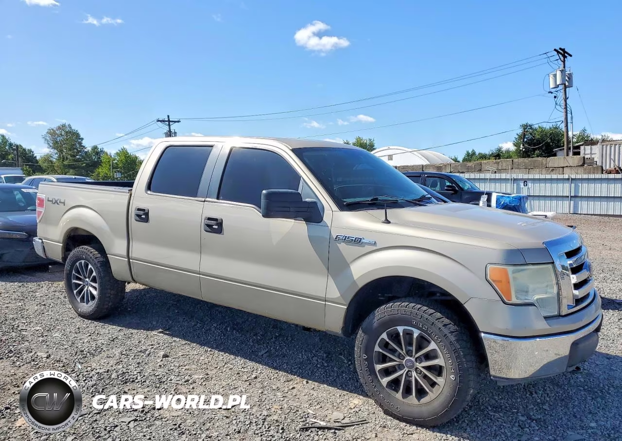 2010 Ford F150 Supercrew VIN:1FTEW1E82AFB34127 - 4