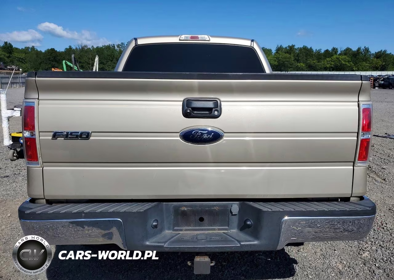 2010 Ford F150 Supercrew VIN:1FTEW1E82AFB34127 - 6