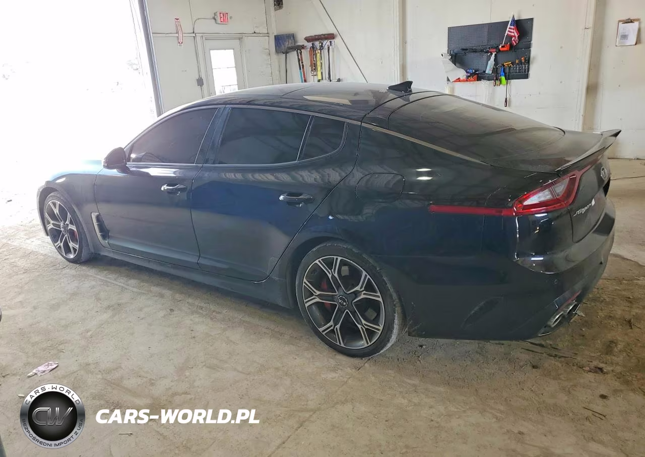 2019 Kia Stinger Gt1 VIN:KNAE45LCXK6055467 - 2