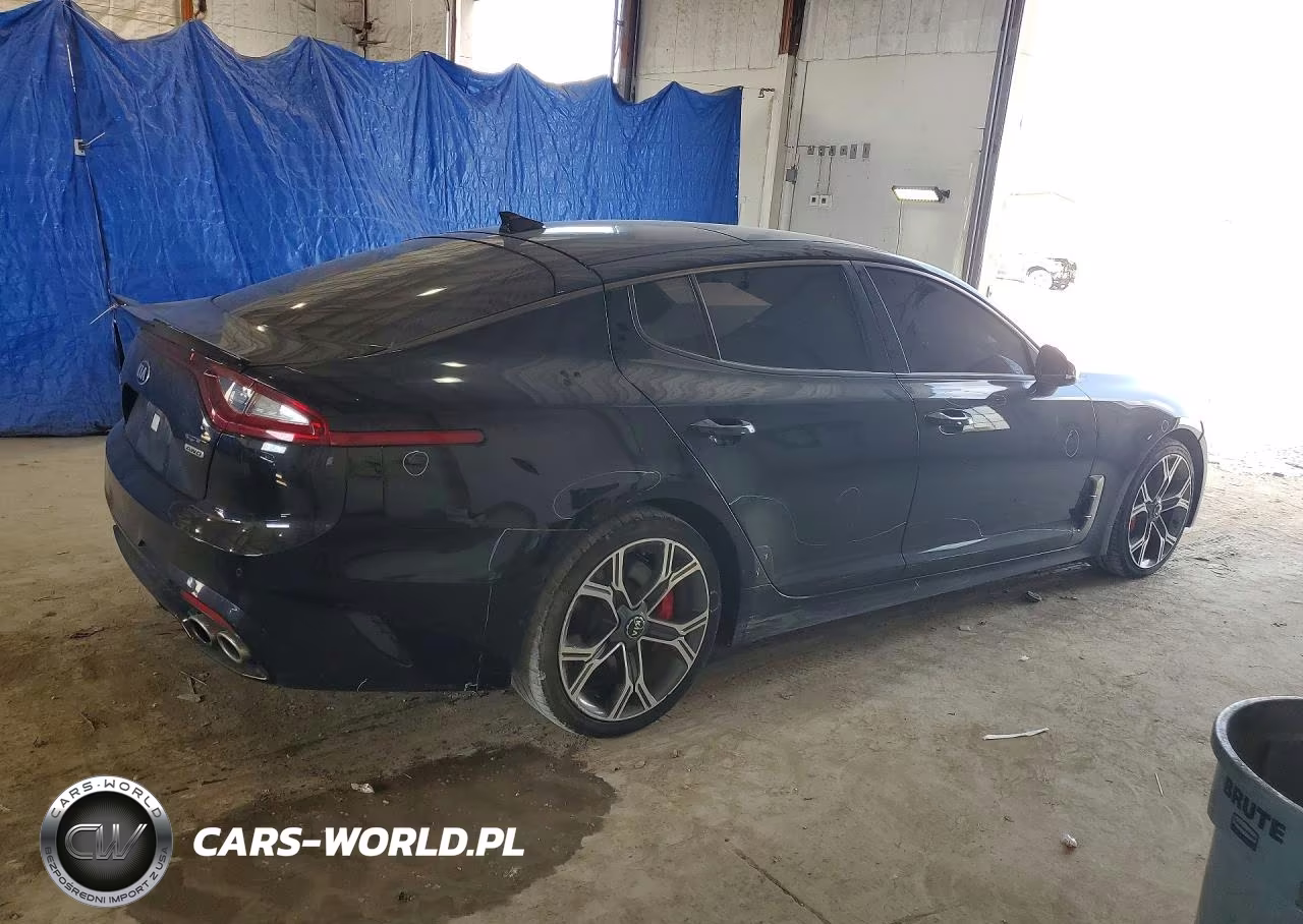 2019 Kia Stinger Gt1 VIN:KNAE45LCXK6055467 - 3