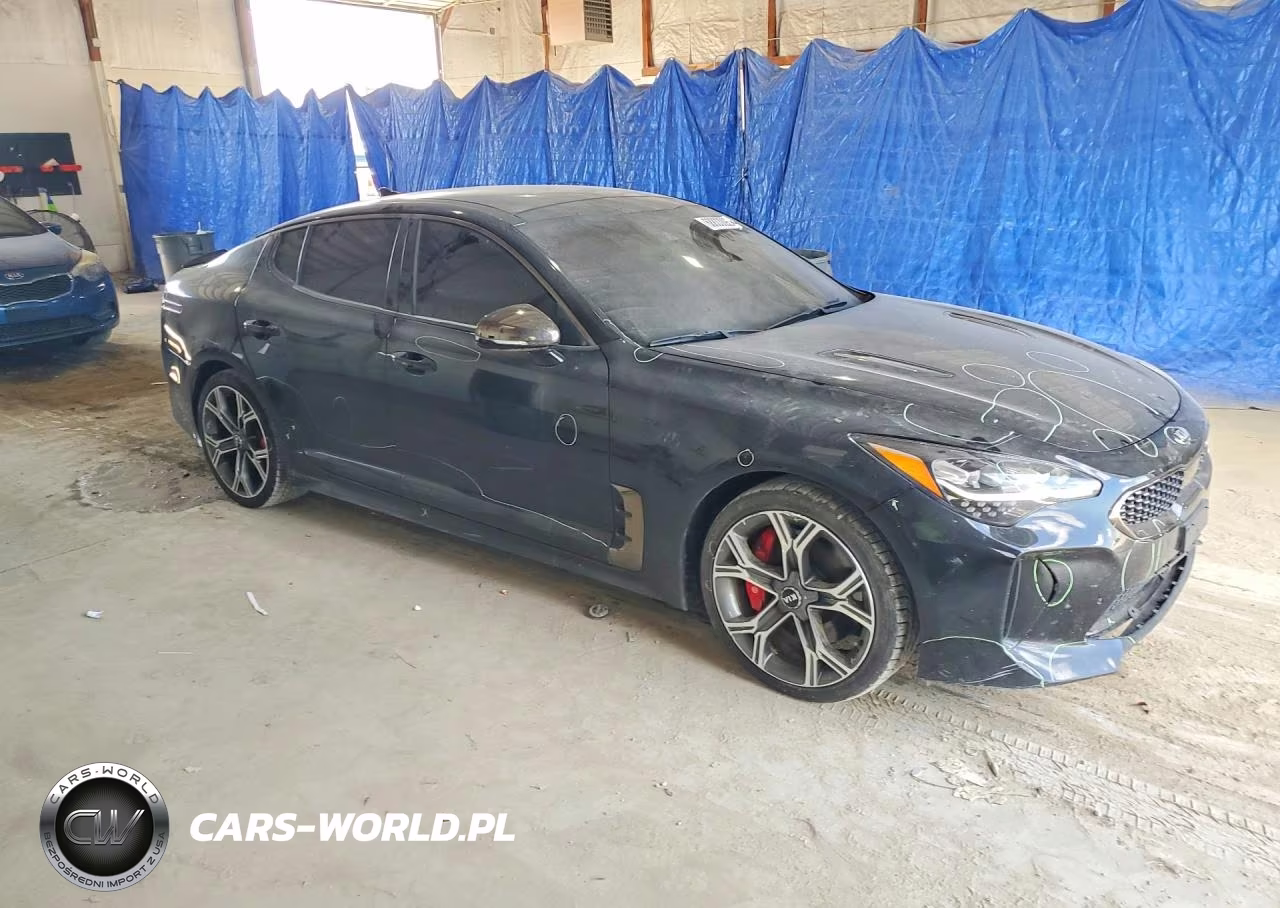 2019 Kia Stinger Gt1 VIN:KNAE45LCXK6055467 - 4