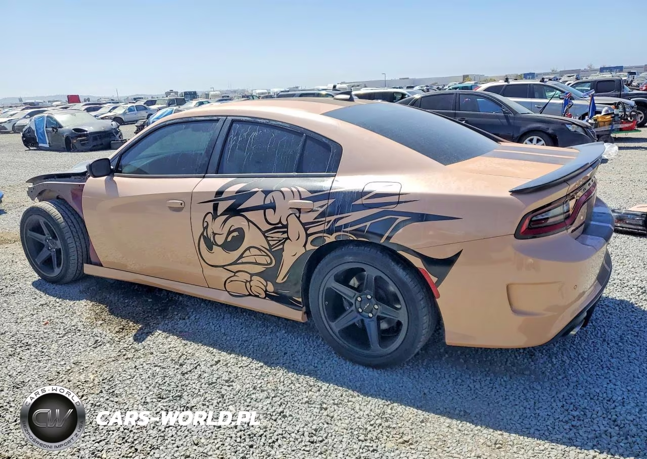 2019 Dodge Charger Scat Pack VIN:2C3CDXGJ6KH576395 - 2