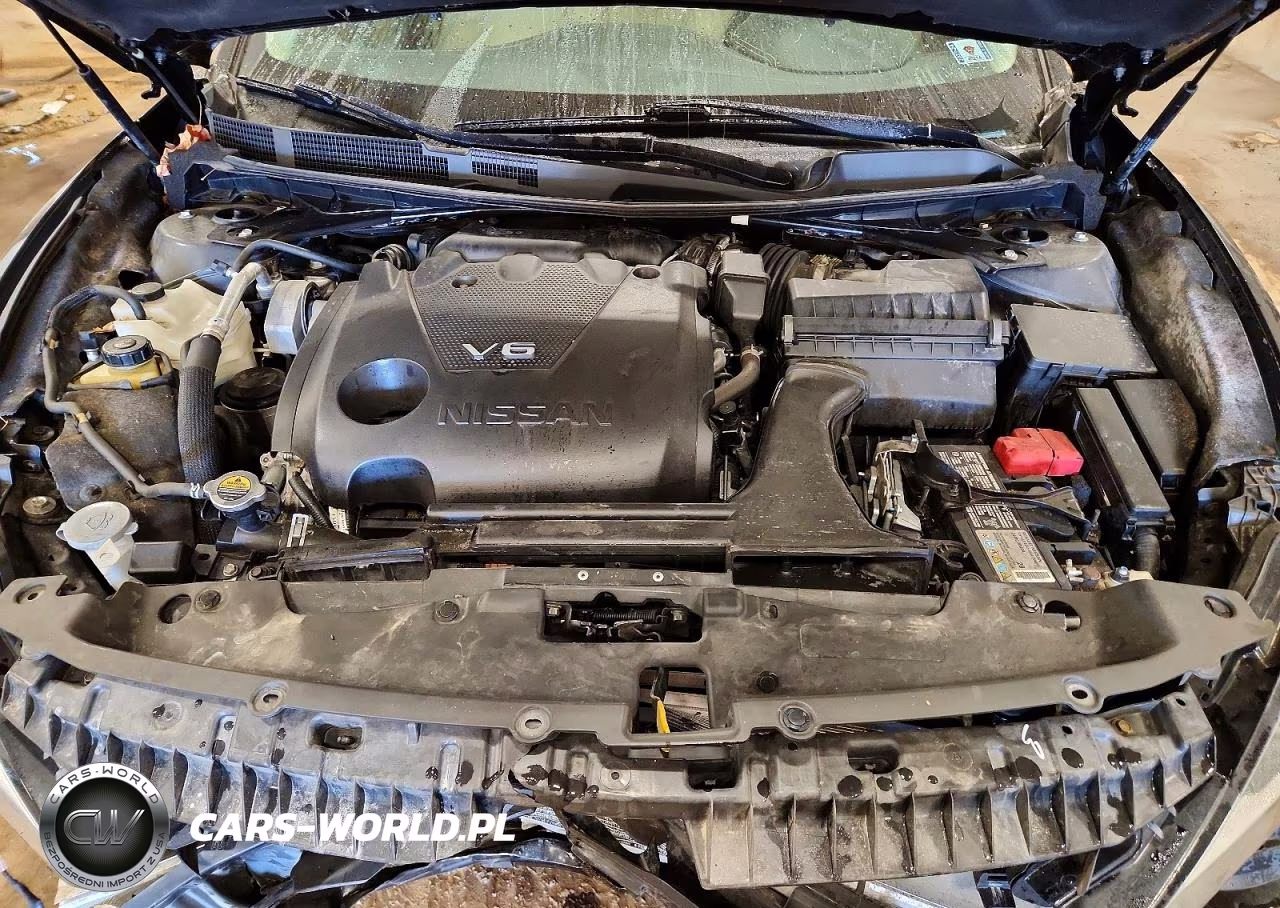 2019 Nissan Maxima 3.5 Sl VIN:1N4AA6AV8KC362129 - 11