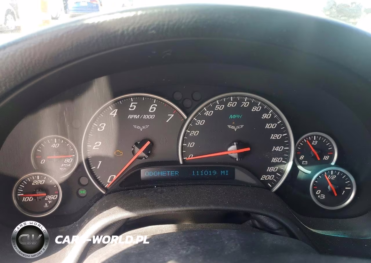 2009 Chevrolet Corvette VIN:1G1YY36W695113548 - 9