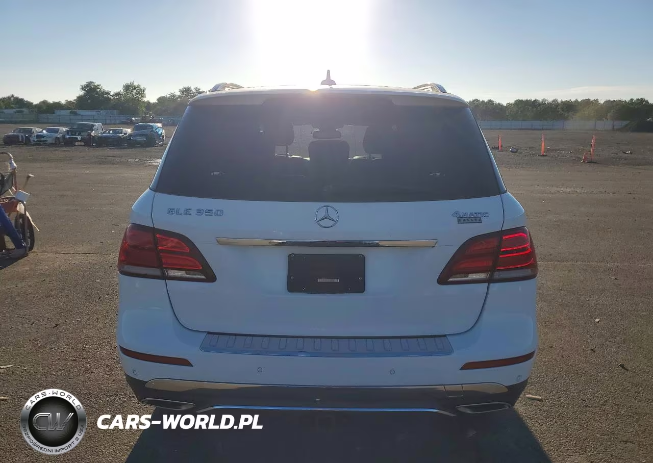2016 Mercedes-Benz Gle 350 4Matic VIN:4JGDA5HB5GA812119 - 6