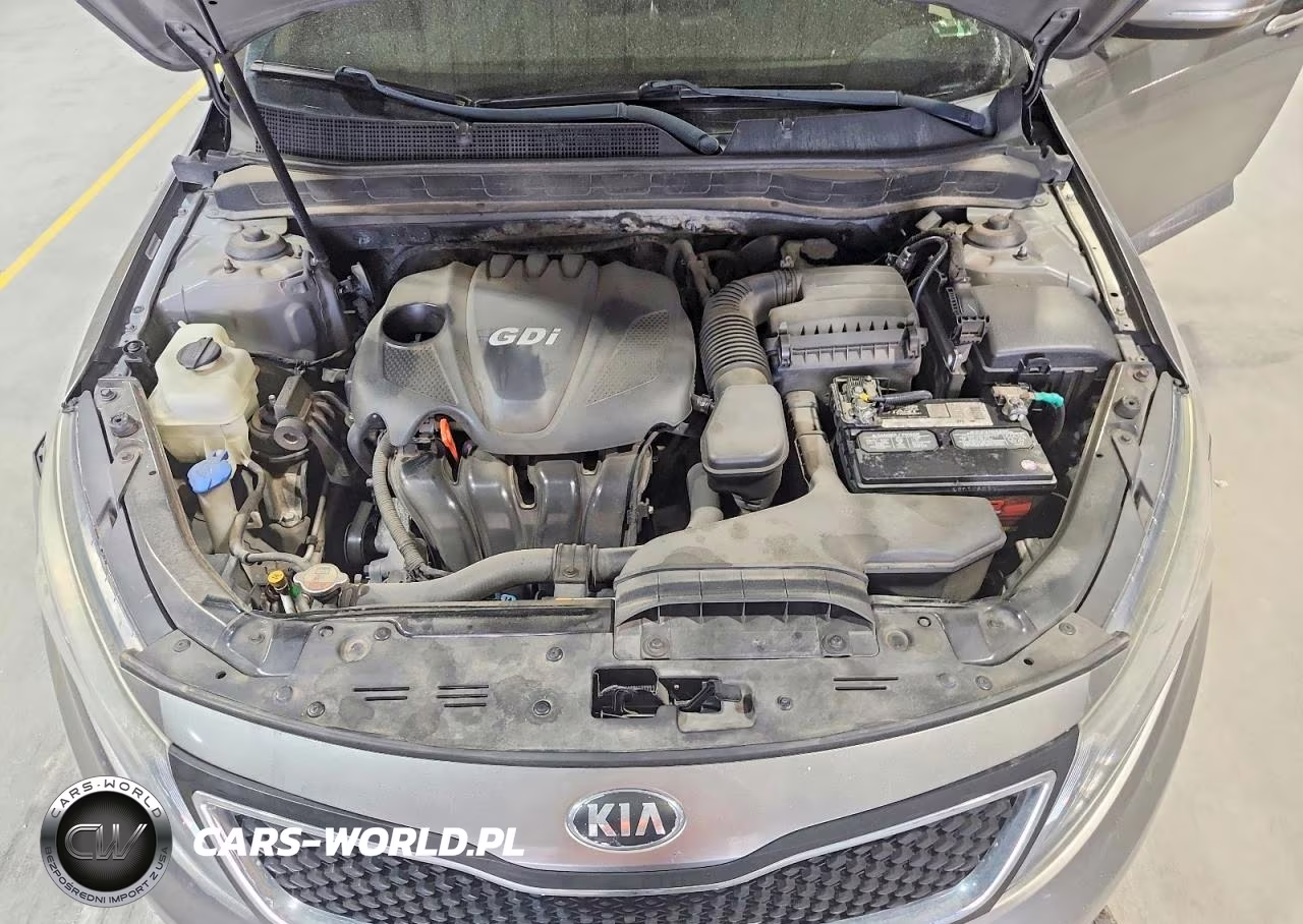 2014 Kia Optima Ex VIN:5XXGN4A75EG316924 - 11