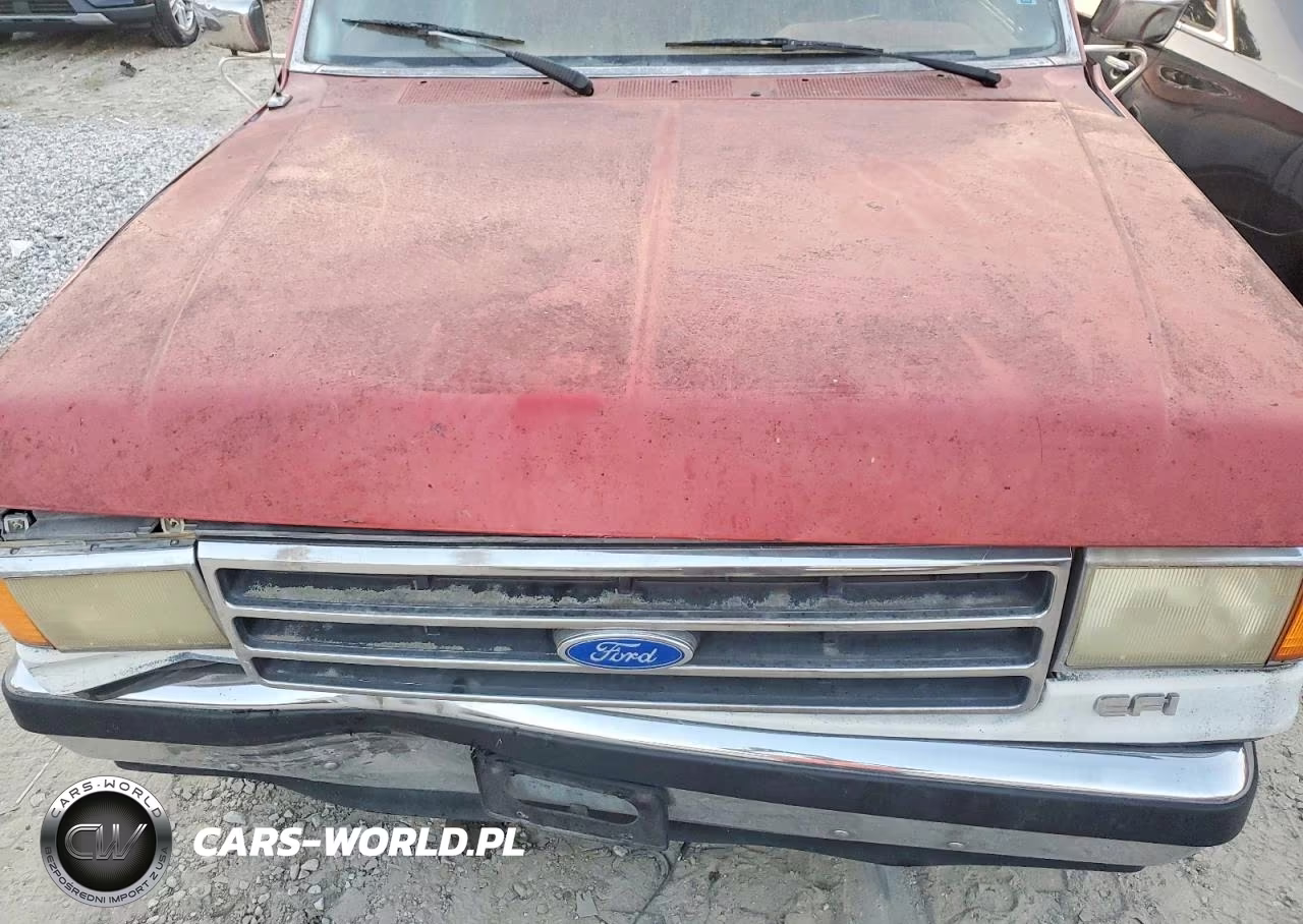1990 Ford F150 VIN:1FTDF15N8LNA00667 - 11