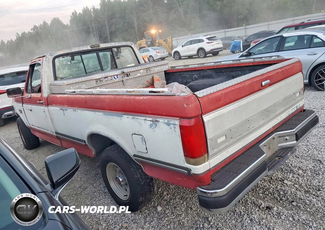 1990 Ford F150 VIN:1FTDF15N8LNA00667 - 2