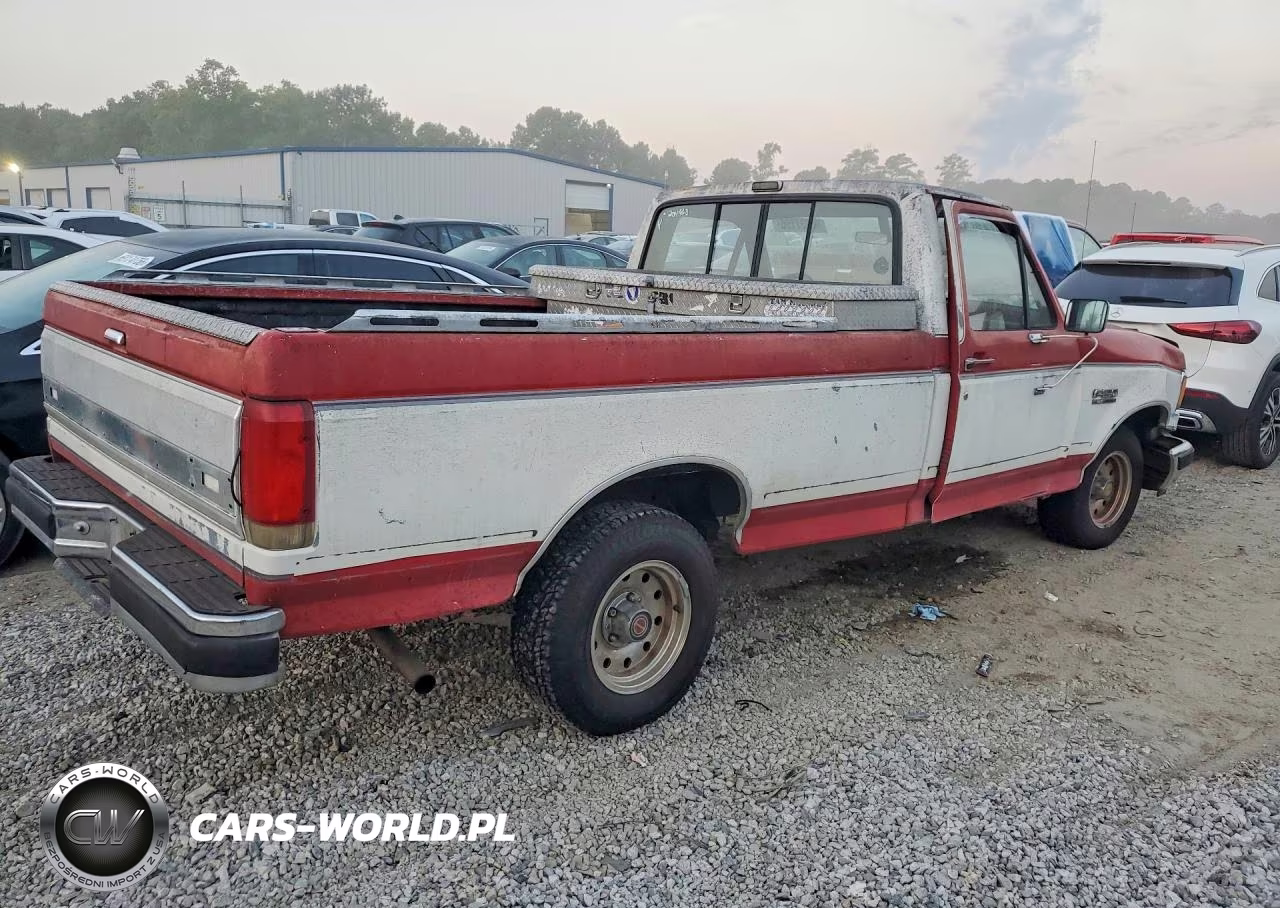 1990 Ford F150 VIN:1FTDF15N8LNA00667 - 3