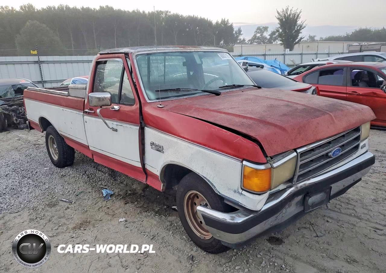 1990 Ford F150 VIN:1FTDF15N8LNA00667 - 4