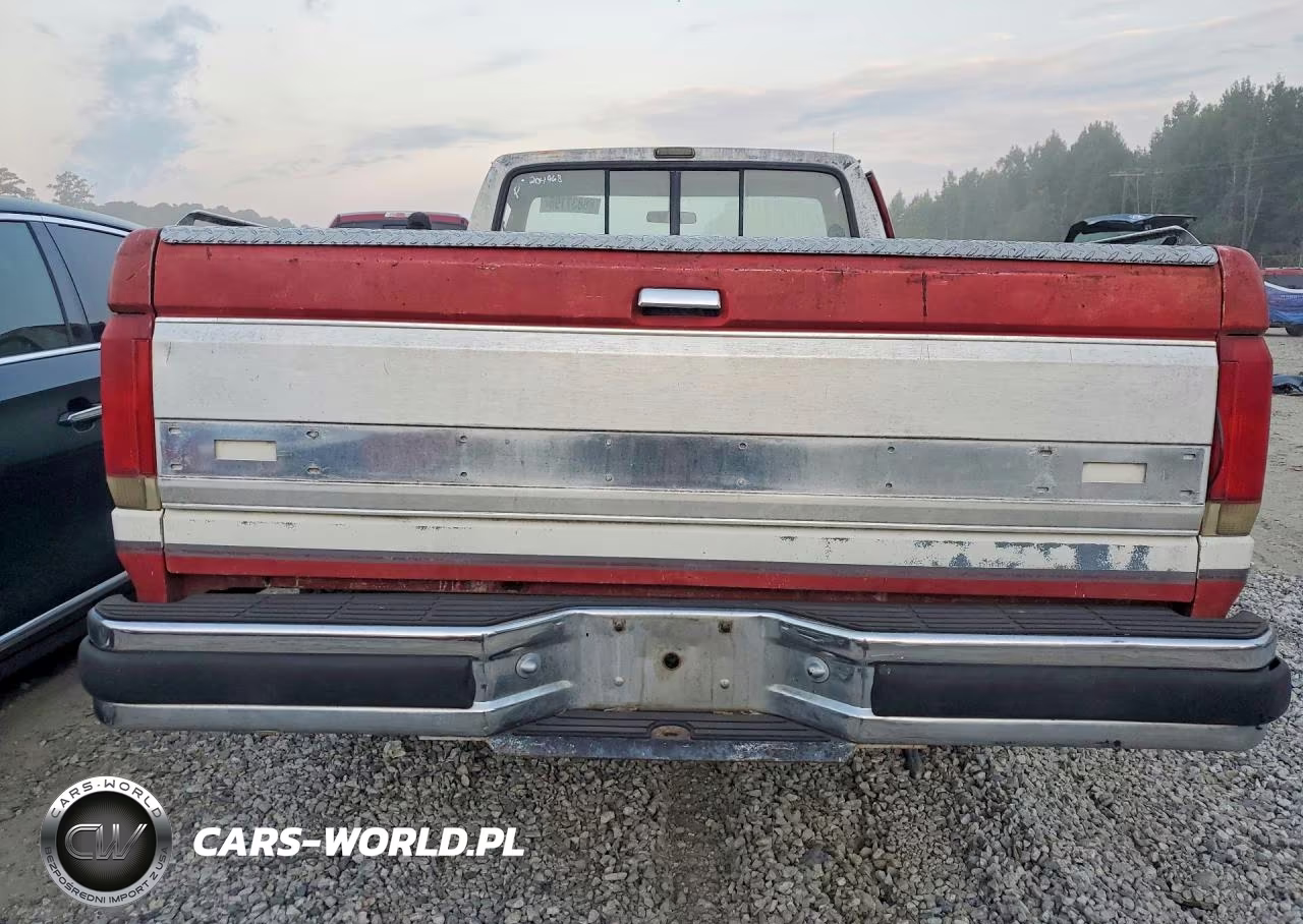 1990 Ford F150 VIN:1FTDF15N8LNA00667 - 6