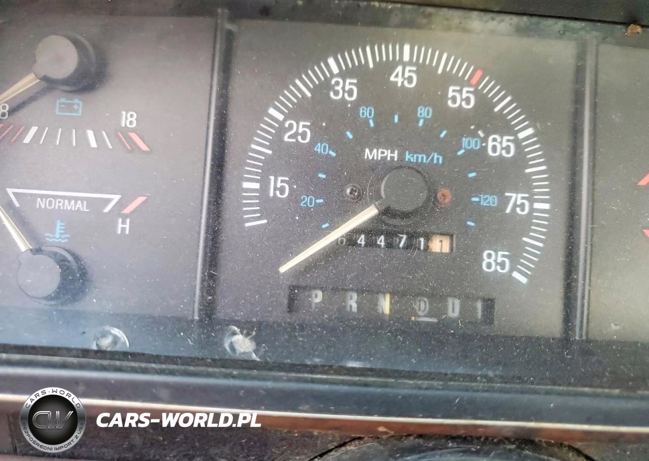 1990 Ford F150 VIN:1FTDF15N8LNA00667 - 9