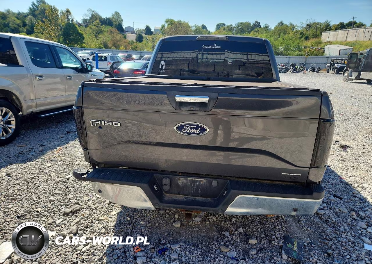 2015 Ford F150 Supercrew VIN:1FTEW1CF5FFB95495 - 6