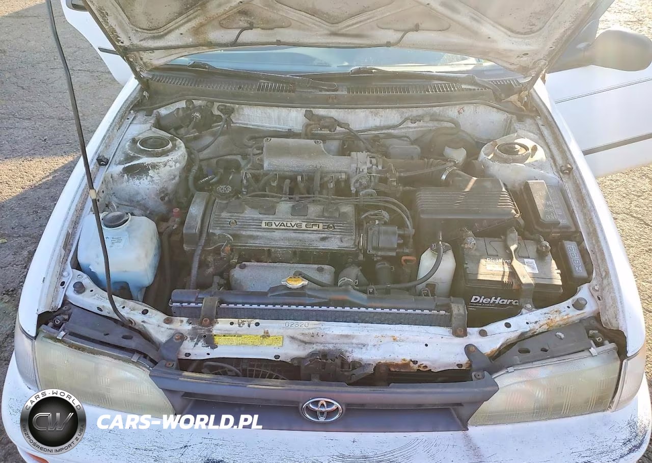 1993 Toyota Corolla Dx VIN:2T1AE09E5PC009314 - 11
