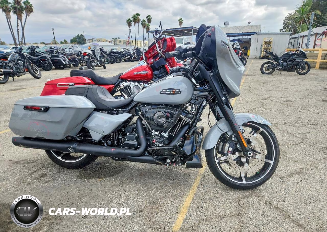 2025 Harley-Davidson Flhx