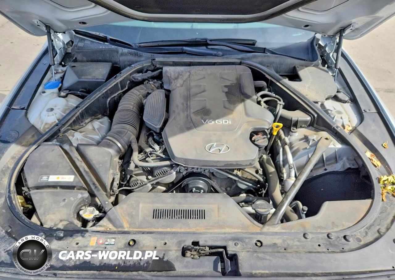 2015 Hyundai Genesis 3.8L VIN:KMHGN4JE4FU072009 - 11