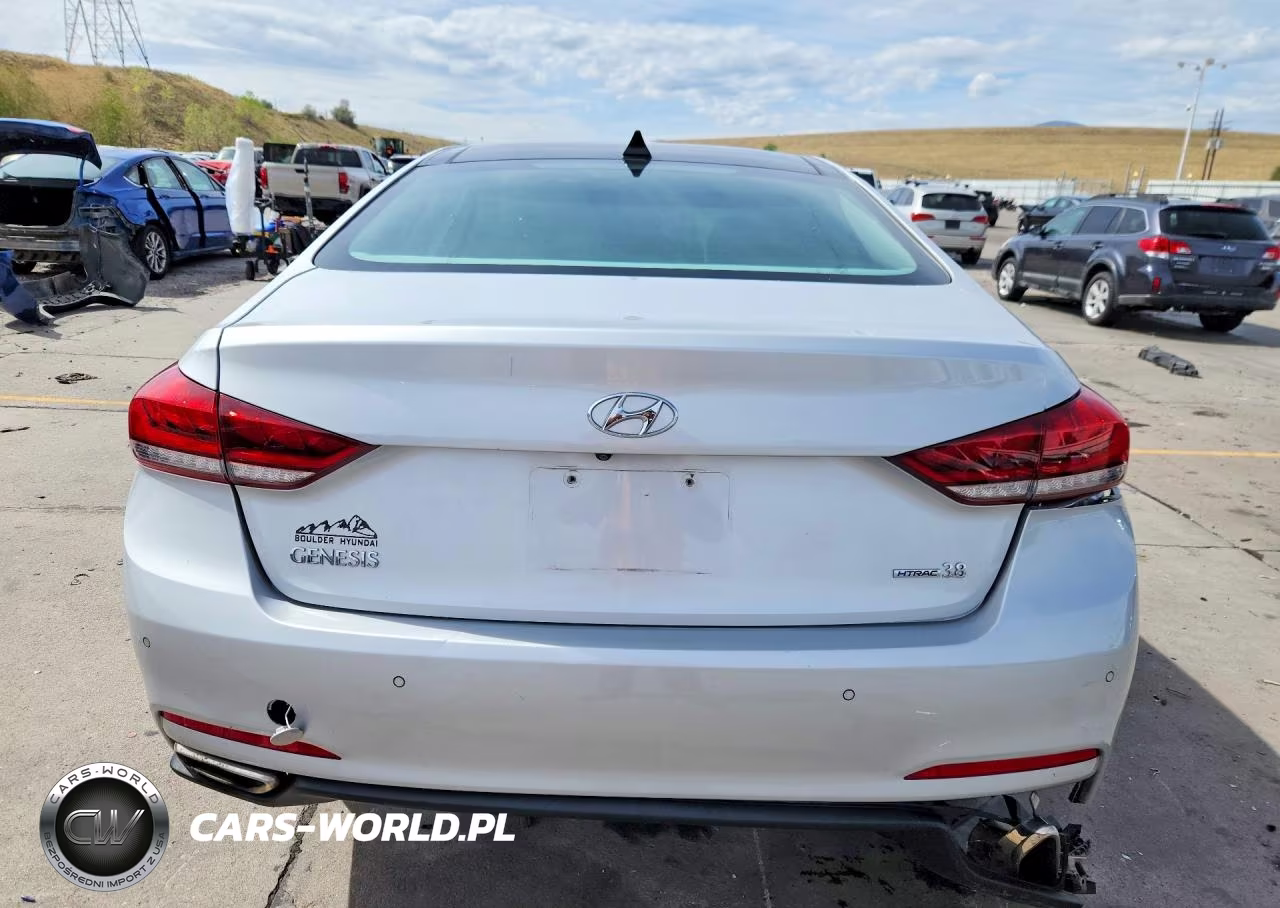 2015 Hyundai Genesis 3.8L VIN:KMHGN4JE4FU072009 - 6