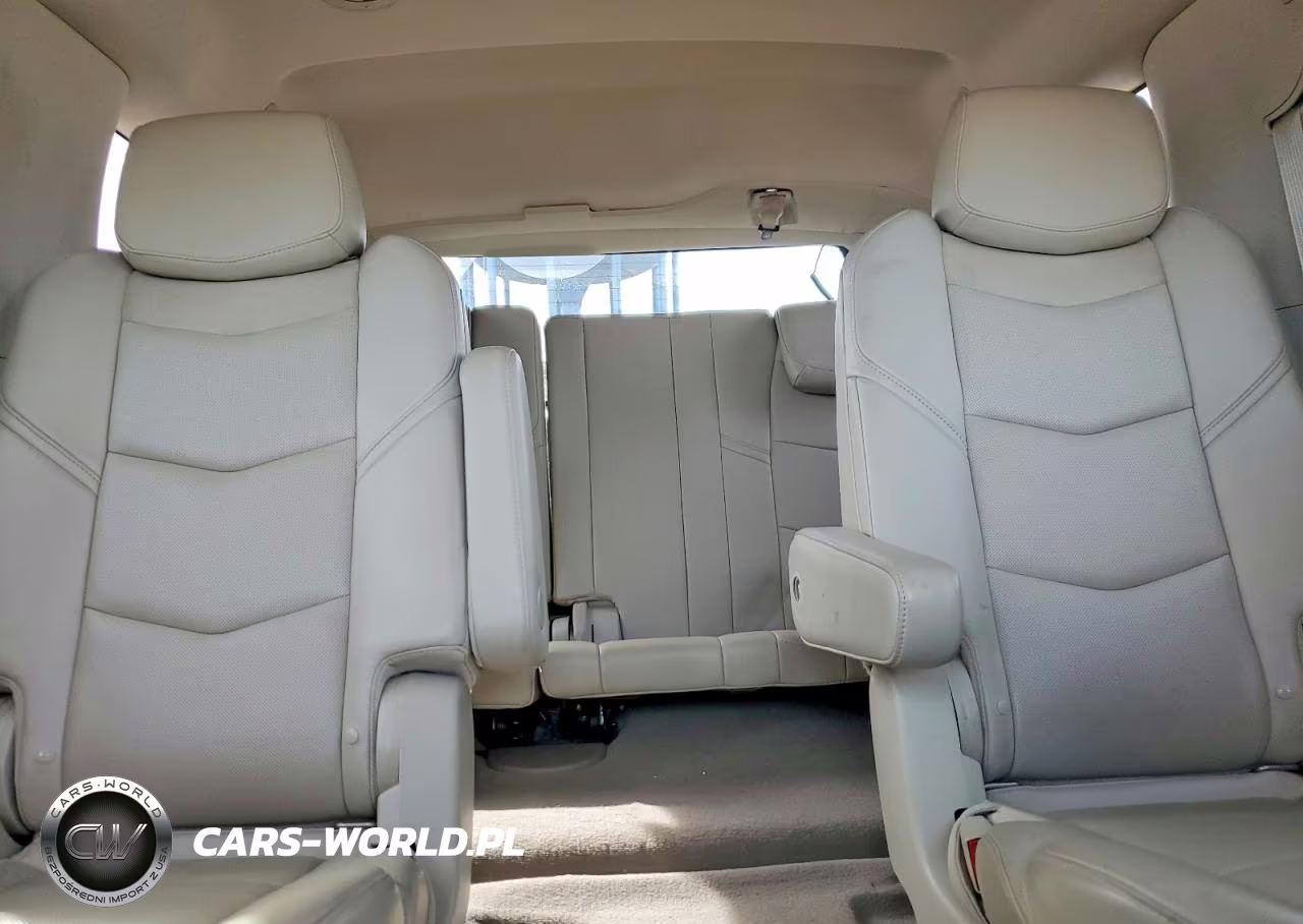 2015 Cadillac Escalade Premium VIN:1GYS4NKJ9FR522561 - 10