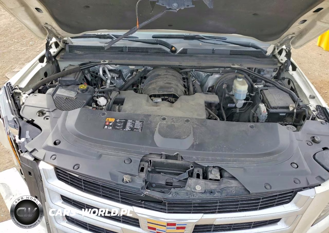 2015 Cadillac Escalade Premium VIN:1GYS4NKJ9FR522561 - 12