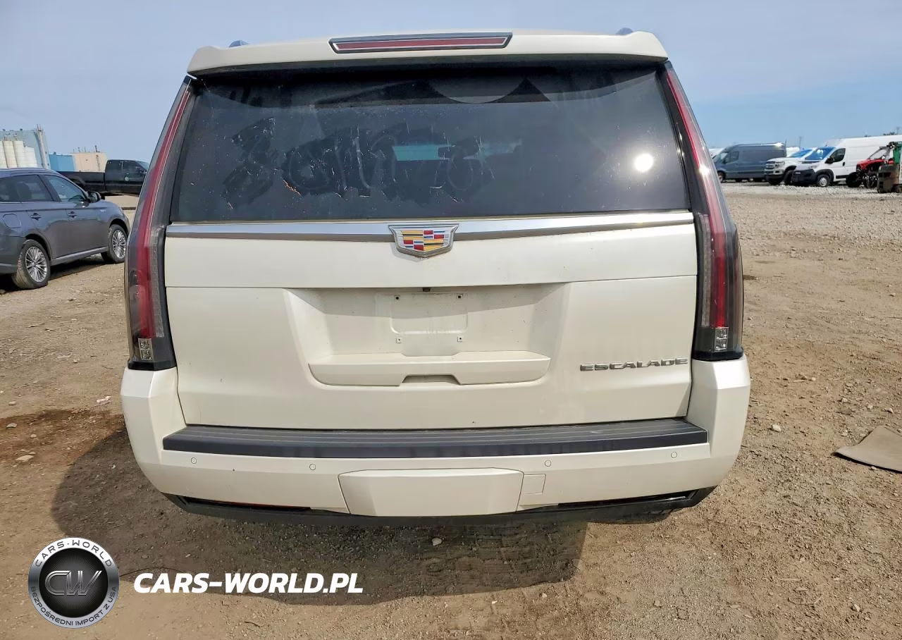 2015 Cadillac Escalade Premium VIN:1GYS4NKJ9FR522561 - 6