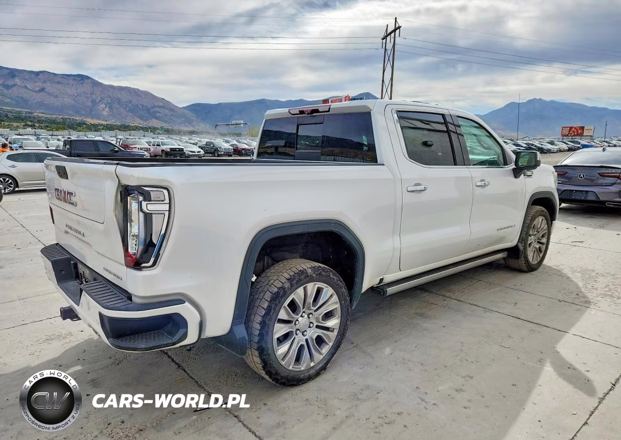 2020 GMC Sierra K1500 Denali VIN:1GTU9FET4LZ186865 - 3