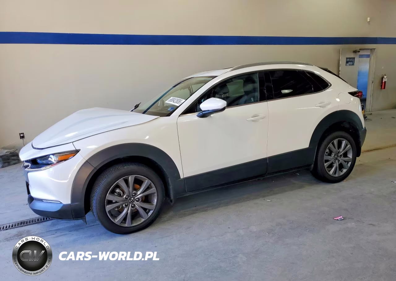2025 Mazda Cx-30 Premium VIN:3MVDMBDM7SM805118 - 1