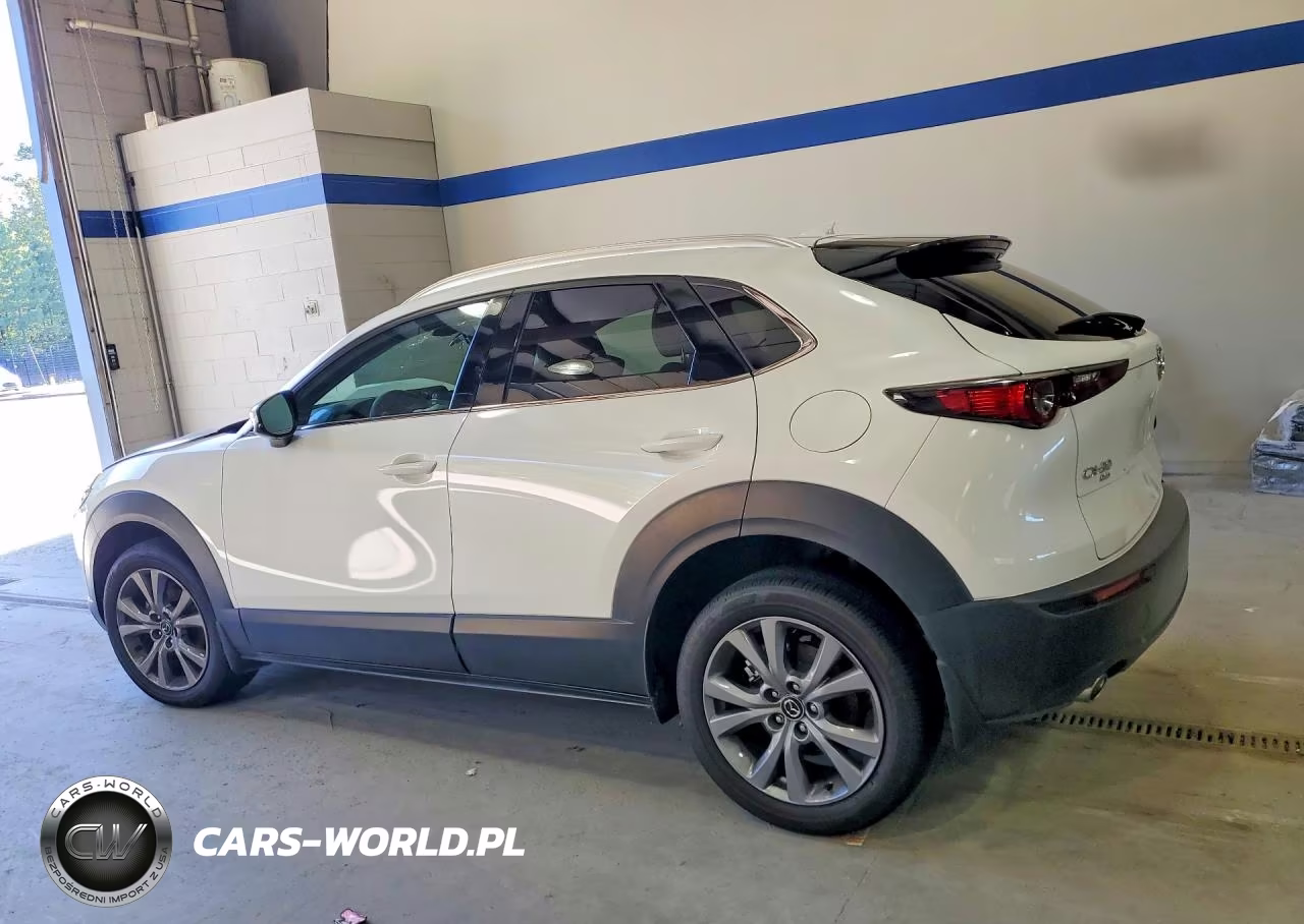 2025 Mazda Cx-30 Premium VIN:3MVDMBDM7SM805118 - 2