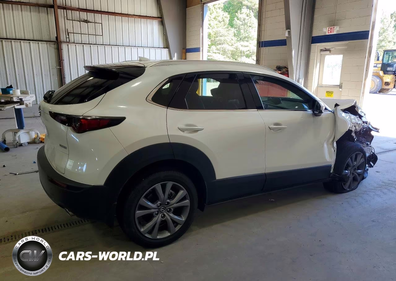 2025 Mazda Cx-30 Premium VIN:3MVDMBDM7SM805118 - 3