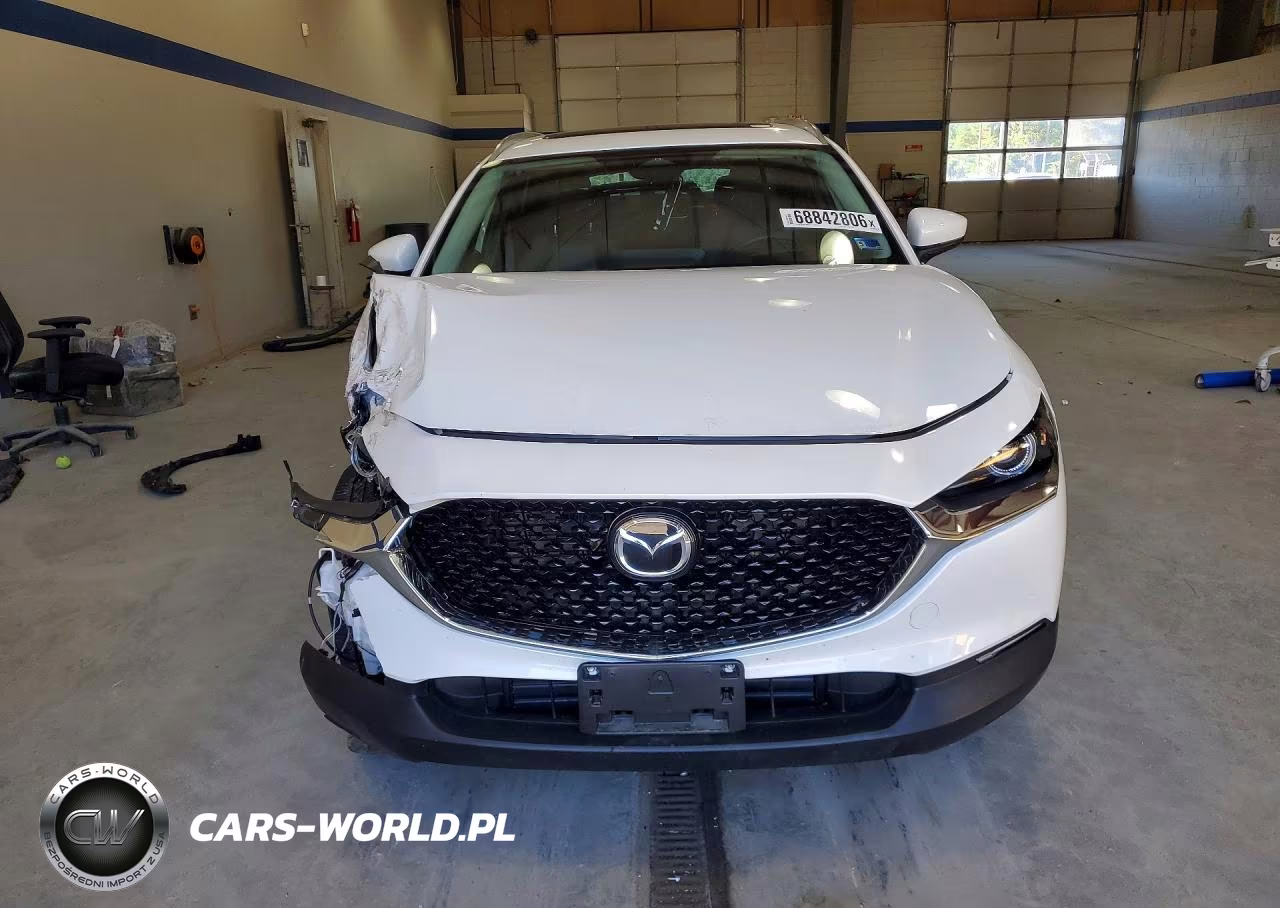 2025 Mazda Cx-30 Premium VIN:3MVDMBDM7SM805118 - 5