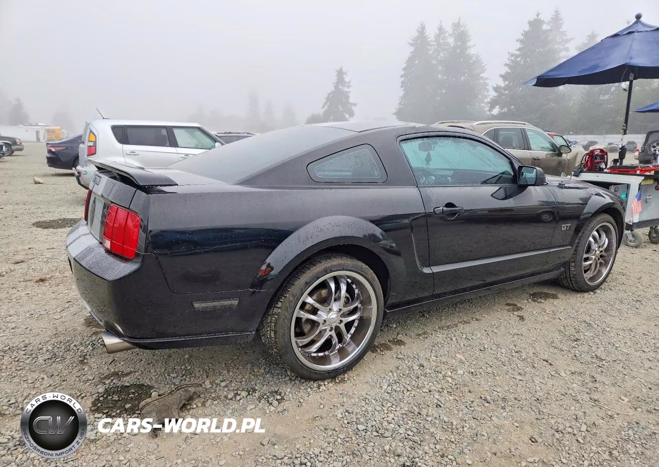 2007 Ford Mustang Gt VIN:1ZVHT82H575234656 - 3