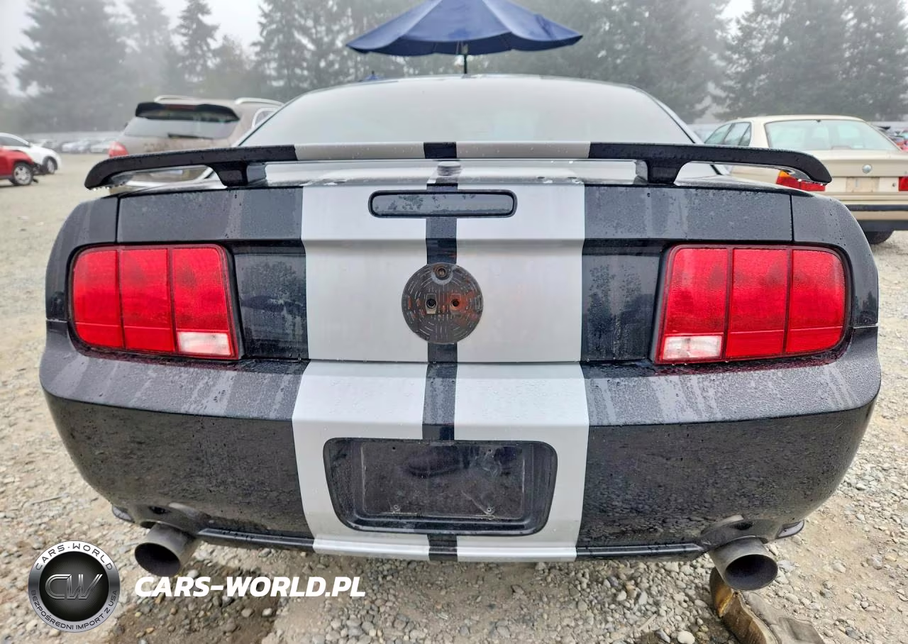 2007 Ford Mustang Gt VIN:1ZVHT82H575234656 - 6