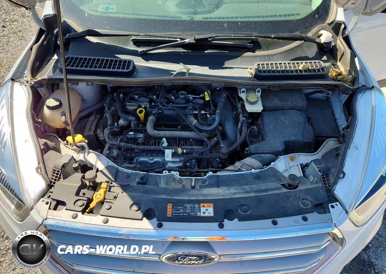 2019 Ford Escape Sel VIN:1FMCU9HD6KUB20745 - 12