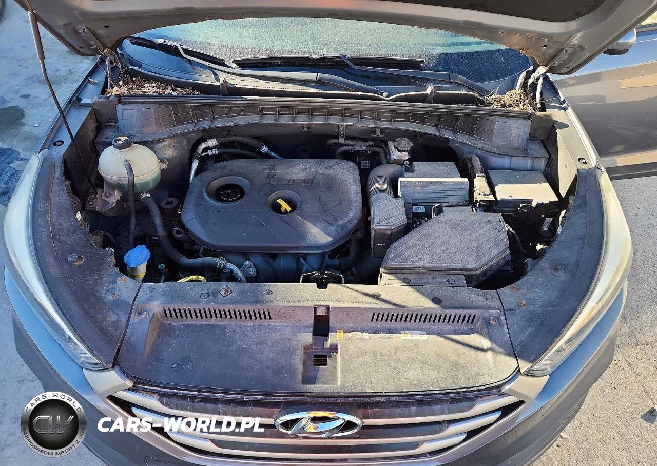 2017 Hyundai Tucson Se VIN:KM8J3CA48HU523460 - 11