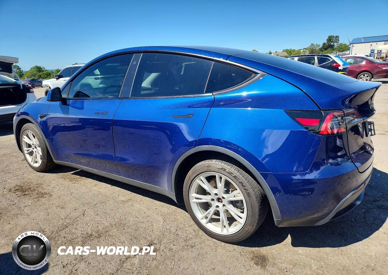 2020 Tesla Model Y VIN:5YJYGDEEXLF043132 - 2
