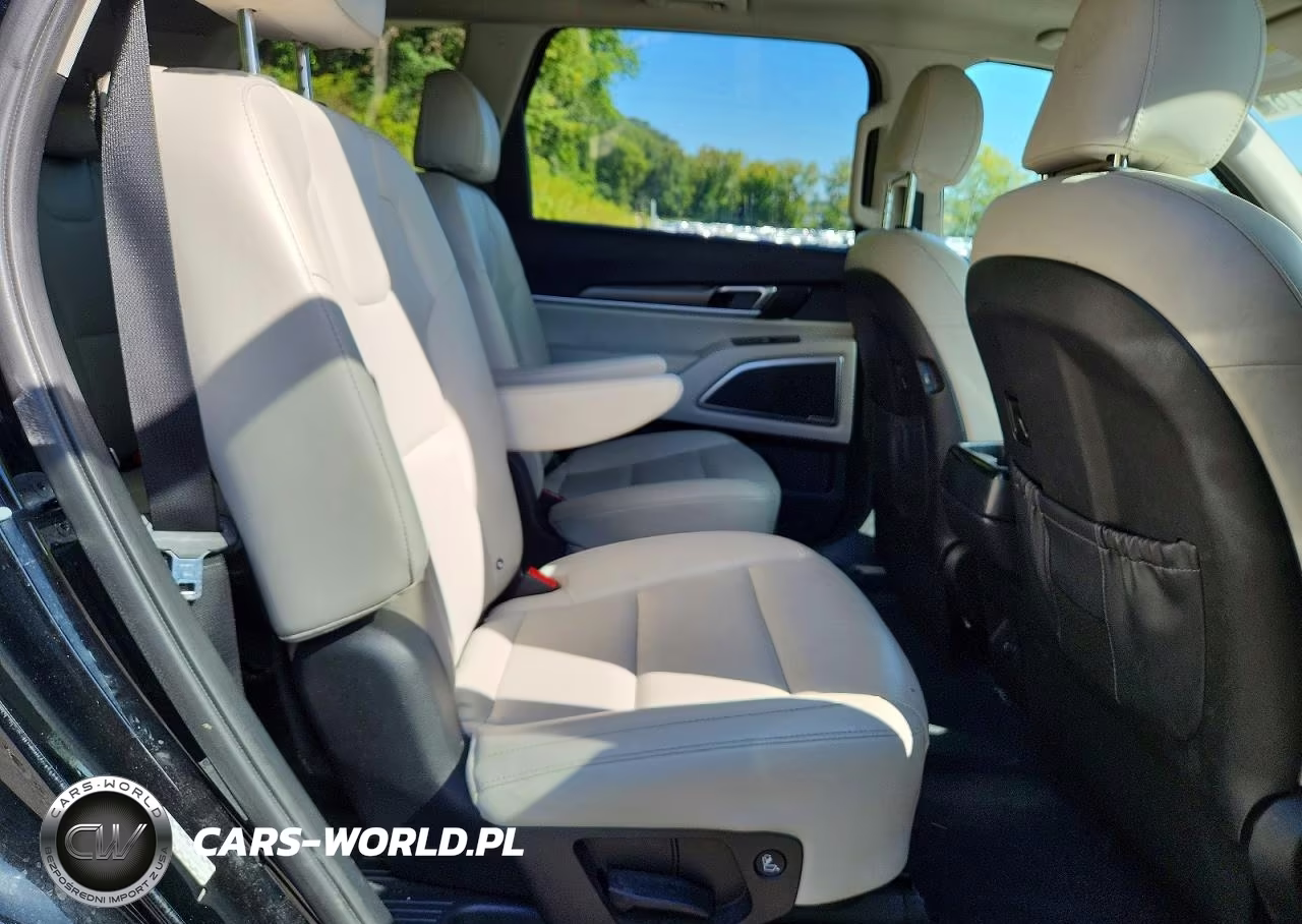 2021 Kia Telluride S VIN:5XYP6DHC5MG164704 - 11