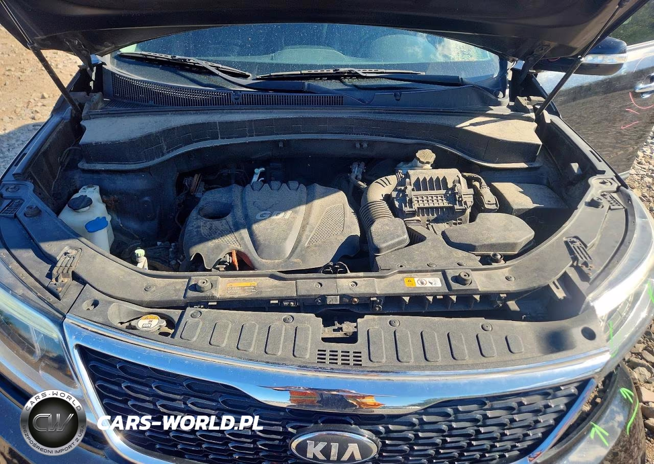 2014 Kia Sorento Lx VIN:5XYKTCA64EG520420 - 12