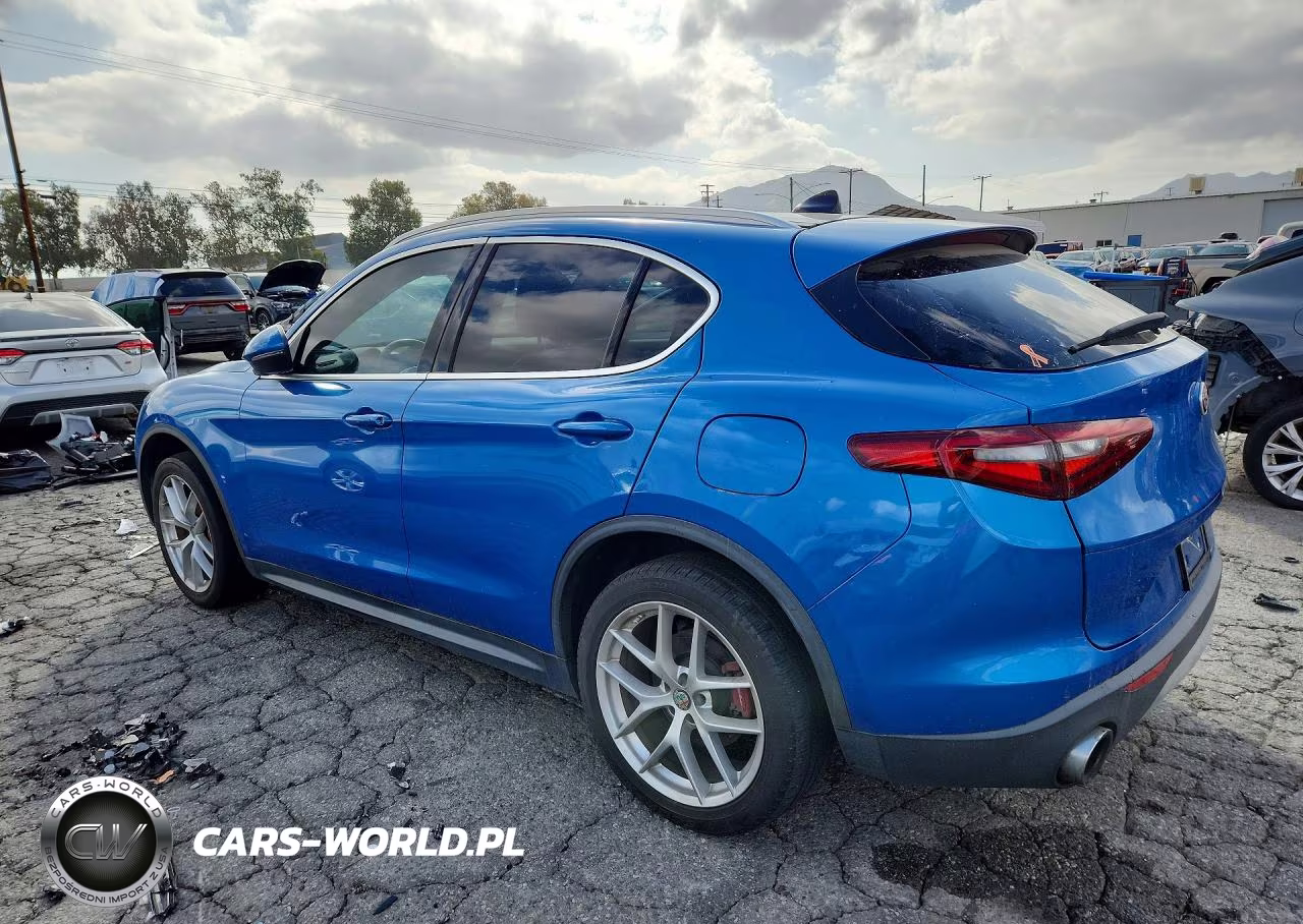 2019 Alfa Romeo Stelvio VIN:ZASPAJAN0K7C58032 - 2