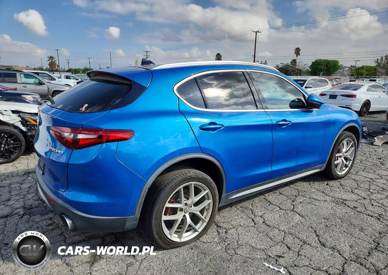 2019 Alfa Romeo Stelvio VIN:ZASPAJAN0K7C58032 - 3