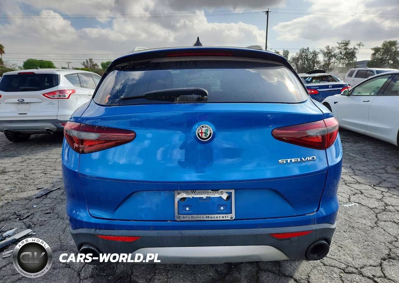 2019 Alfa Romeo Stelvio VIN:ZASPAJAN0K7C58032 - 6