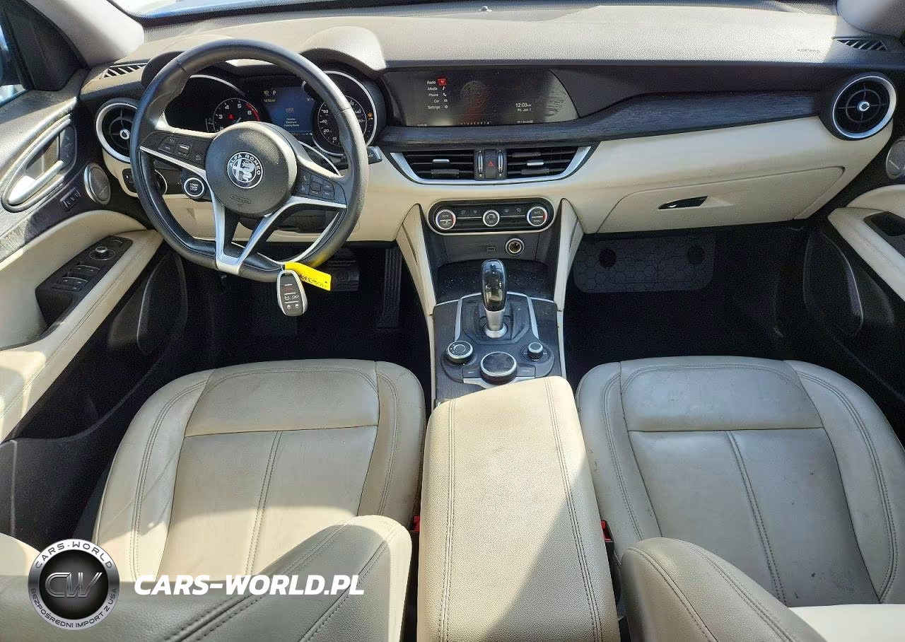 2019 Alfa Romeo Stelvio VIN:ZASPAJAN0K7C58032 - 8