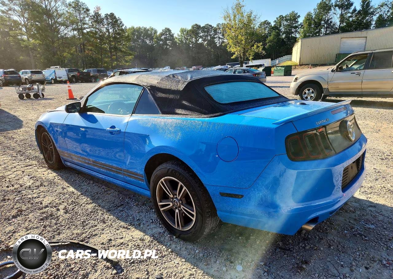 2013 Ford Mustang VIN:1ZVBP8EM1D5229503 - 2