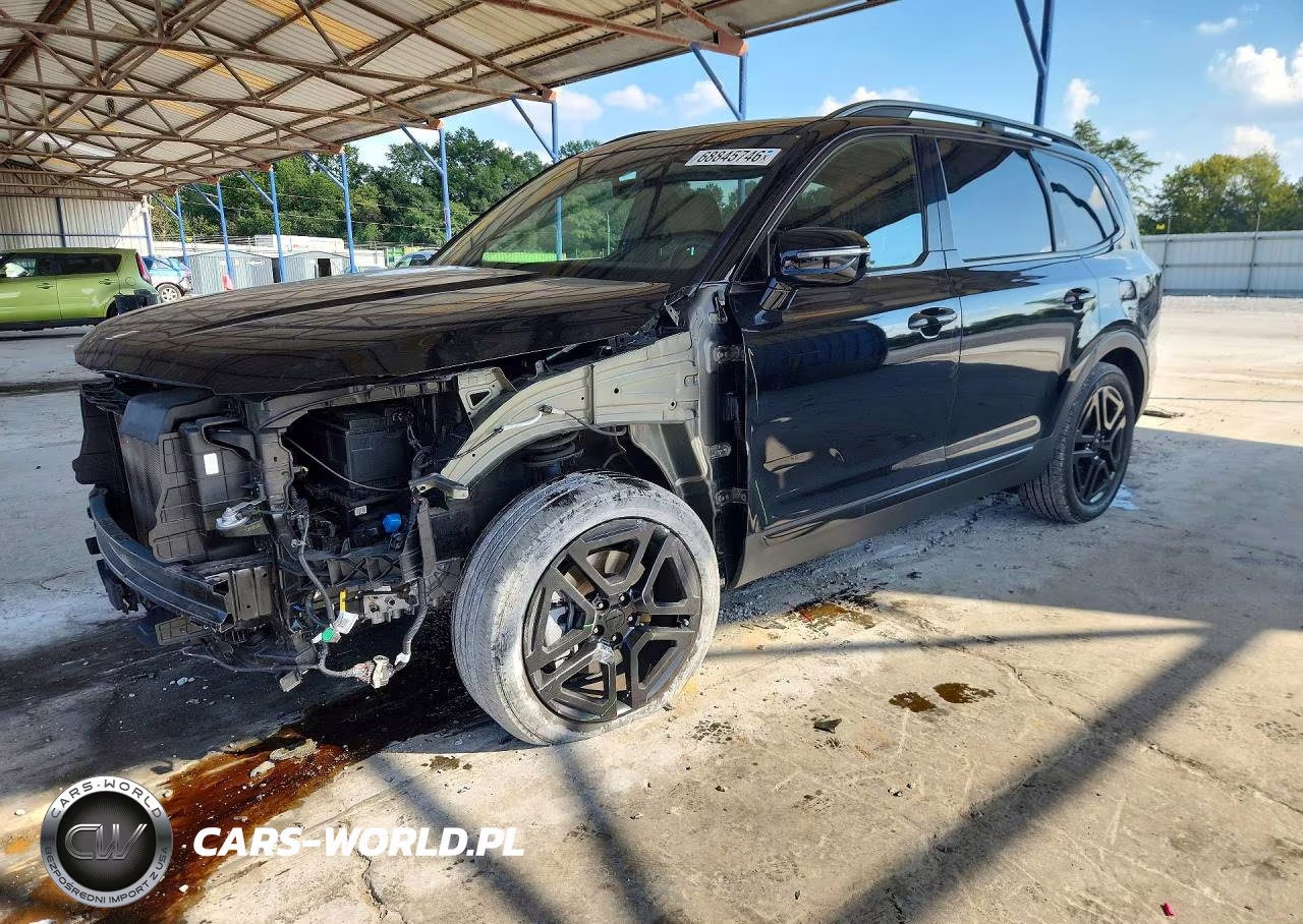 2025 Kia Telluride Sx X-Line VIN:5XYP5DGC7SG690611 - 1