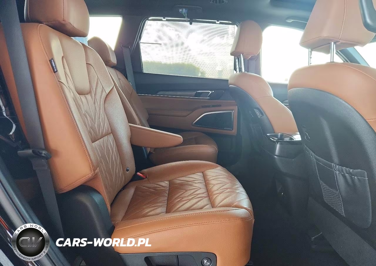 2025 Kia Telluride Sx X-Line VIN:5XYP5DGC7SG690611 - 10