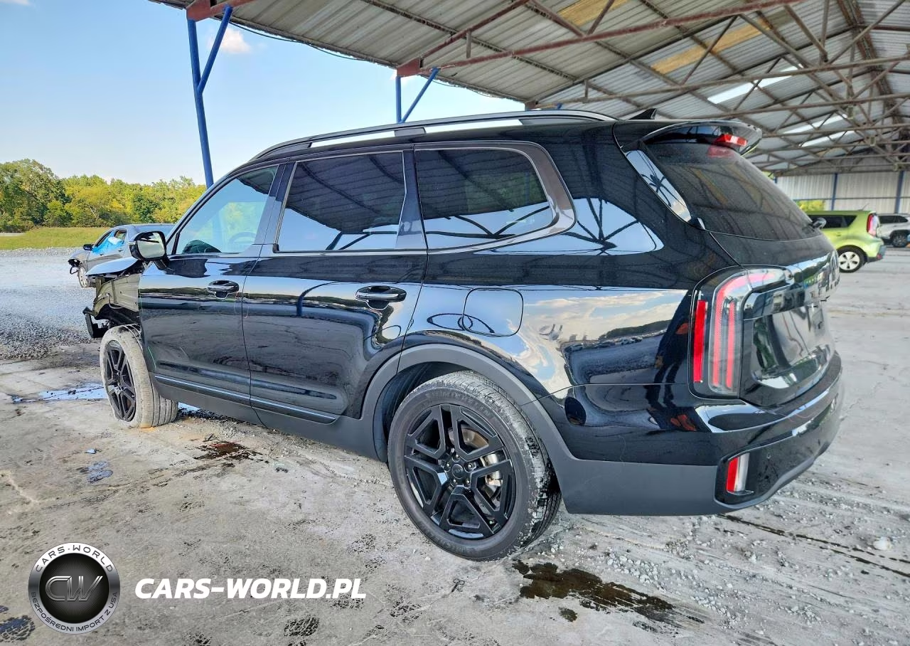 2025 Kia Telluride Sx X-Line VIN:5XYP5DGC7SG690611 - 2