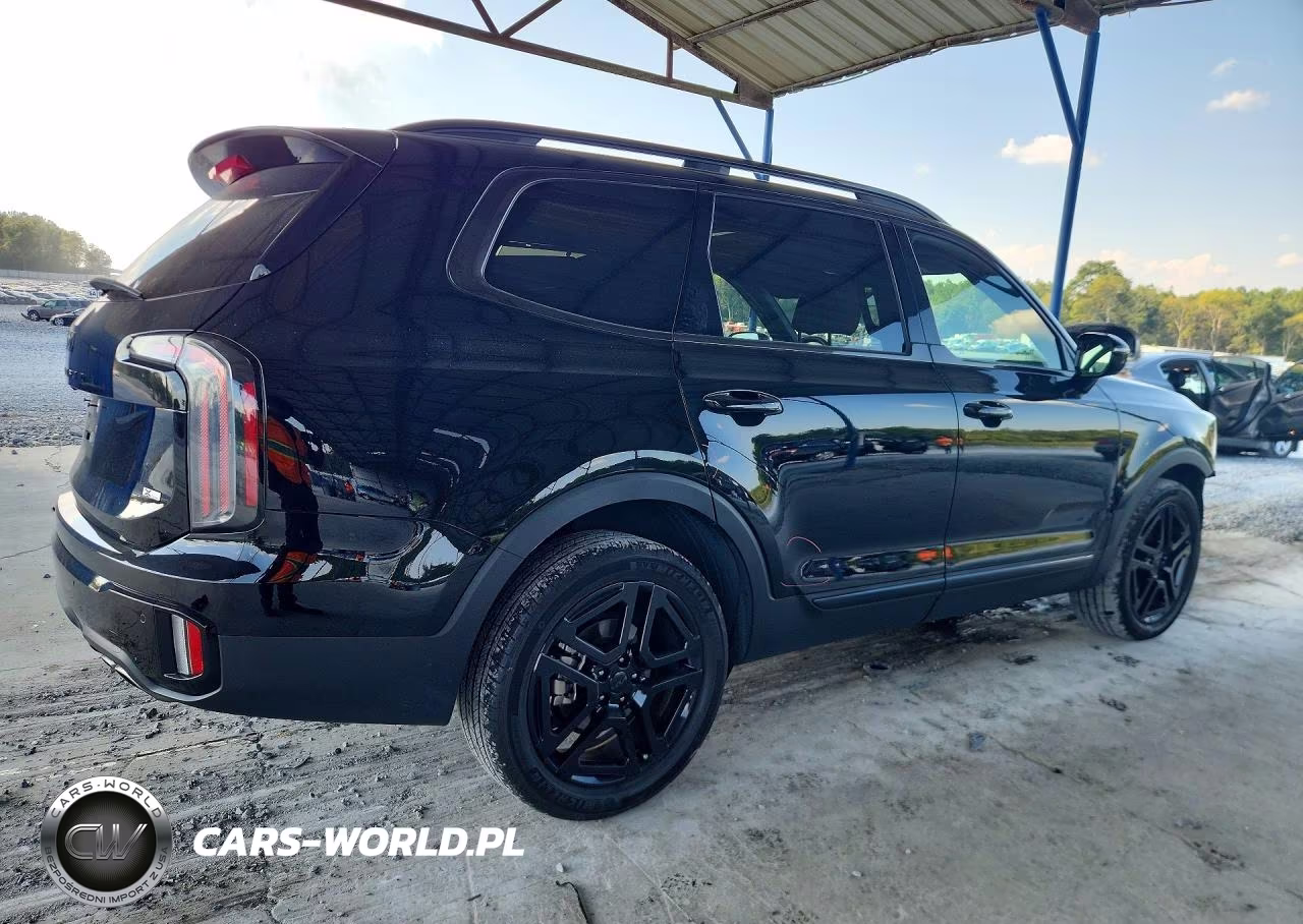 2025 Kia Telluride Sx X-Line VIN:5XYP5DGC7SG690611 - 3