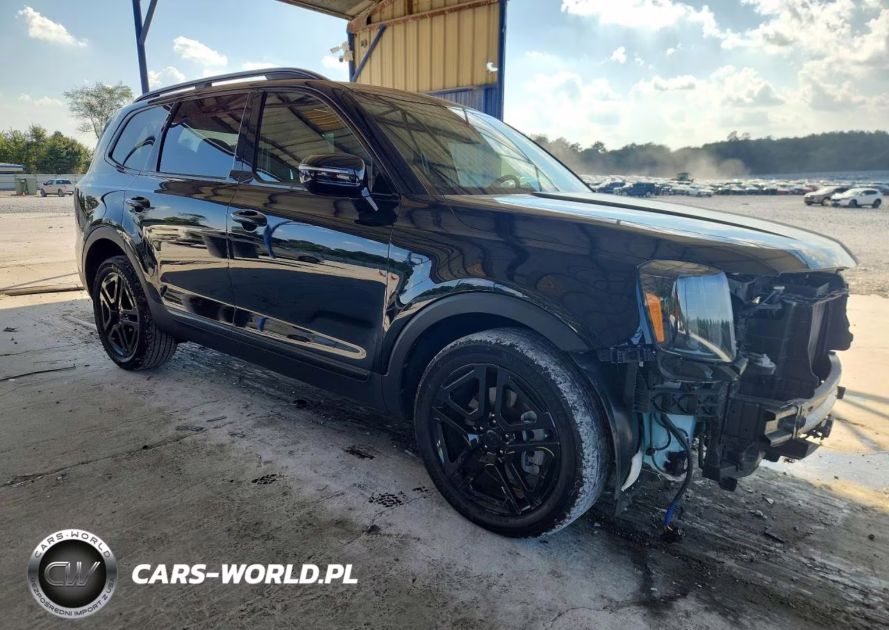 2025 Kia Telluride Sx X-Line VIN:5XYP5DGC7SG690611 - 4
