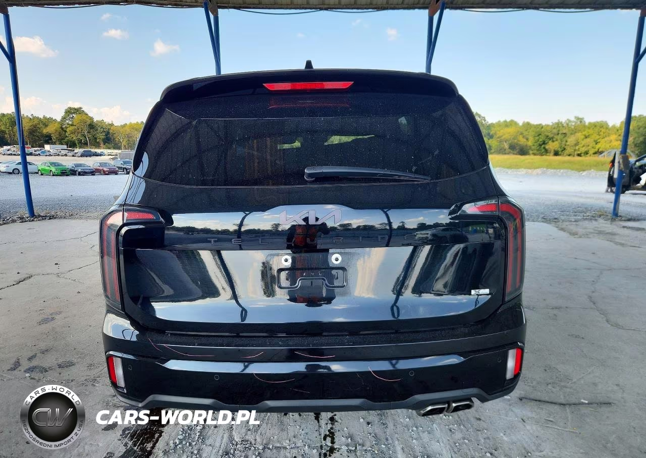 2025 Kia Telluride Sx X-Line VIN:5XYP5DGC7SG690611 - 6