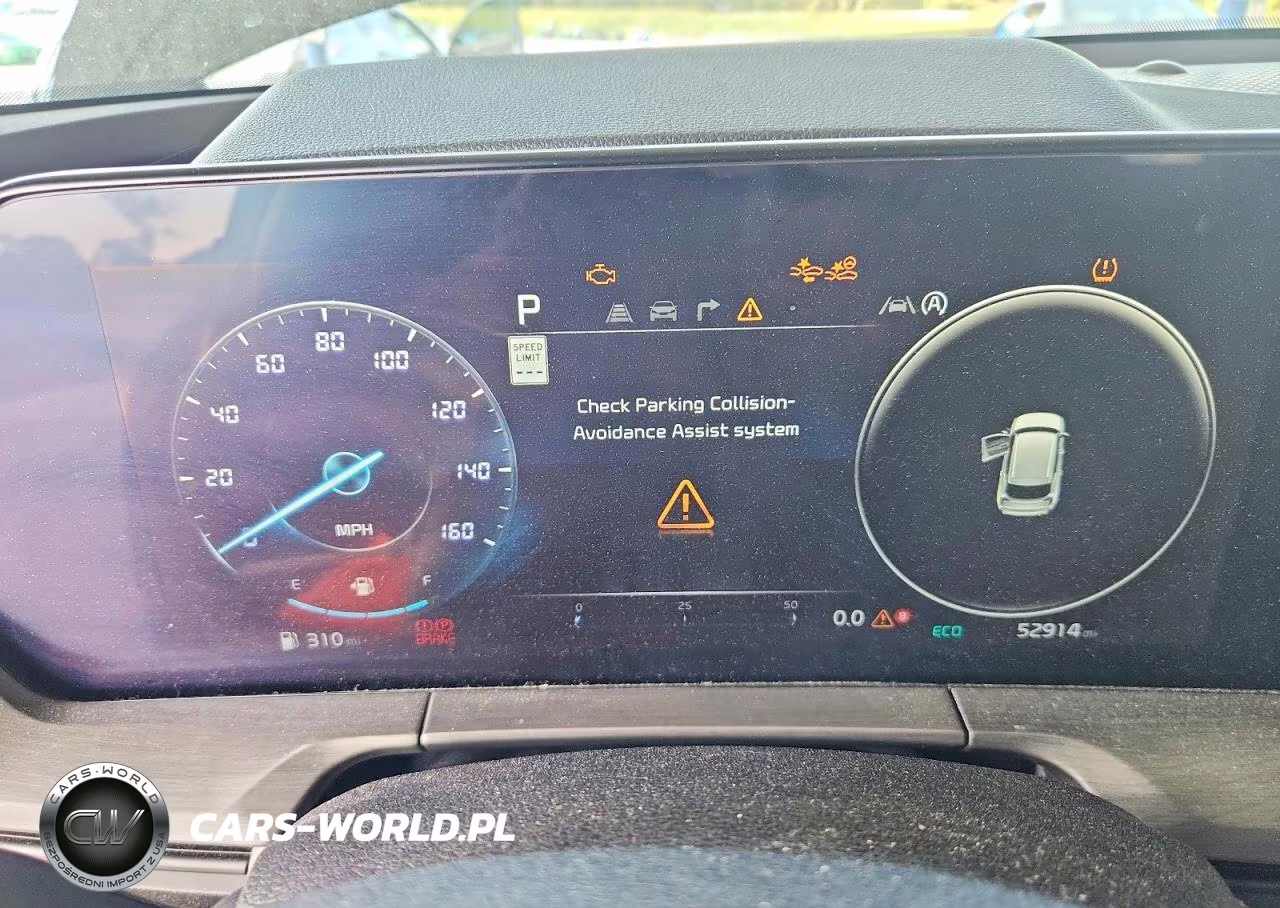 2025 Kia Telluride Sx X-Line VIN:5XYP5DGC7SG690611 - 9